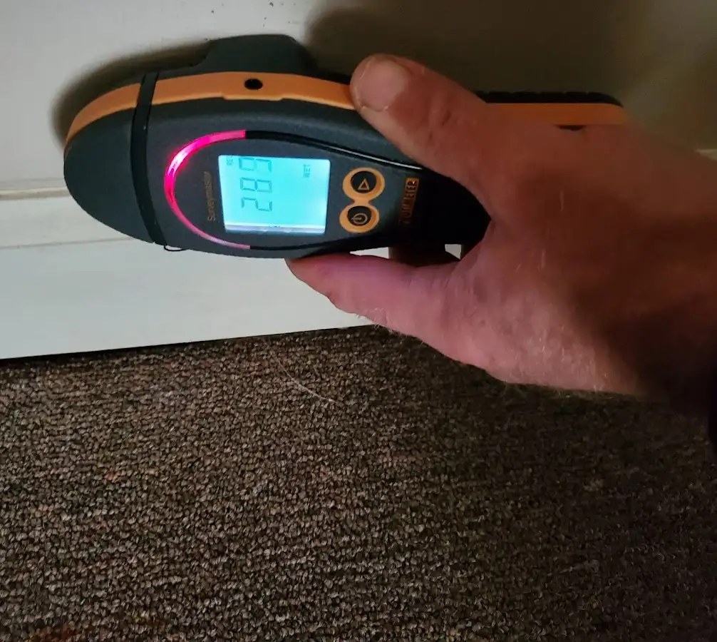 Moisture detection at baseboard during Sewage Cleanup & Sanitation in Wayne